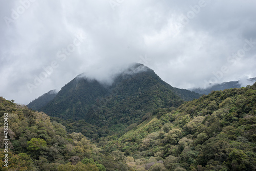 Beautiful rainforest landscape in Panama 