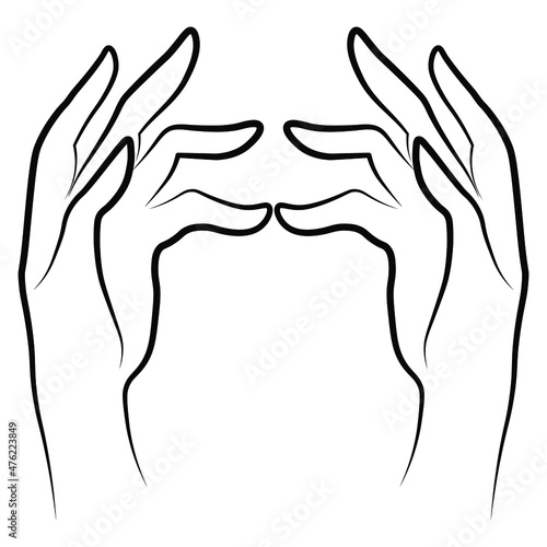 Women hands simple outline minimalistic linear gesture style. Vector Illustration of female hands for create logos, prints and other designs on white background