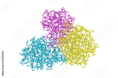 Molecular model of the fibrinogen-like domain of human angiopoietin-3. Rendering with differently colored protein chains based on protein data bank. Scientific background. 3d illustration photo