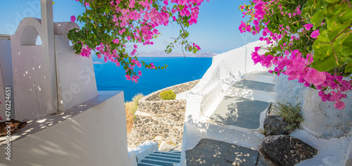 Summer vacation panorama luxury famous Europe destination. White architecture in Santorini, Greece. Perfect travel scenic with pink flowers and staircase sunlight and blue sky. Amazing panoramic view