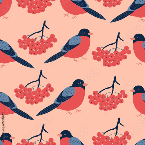 Bullfinch and rowanberry hand drawn vector illustration. Adorable winter bird and a branch of red berries. Colorful seamless pattern.