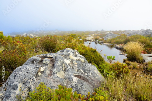 On top of Table Mountain