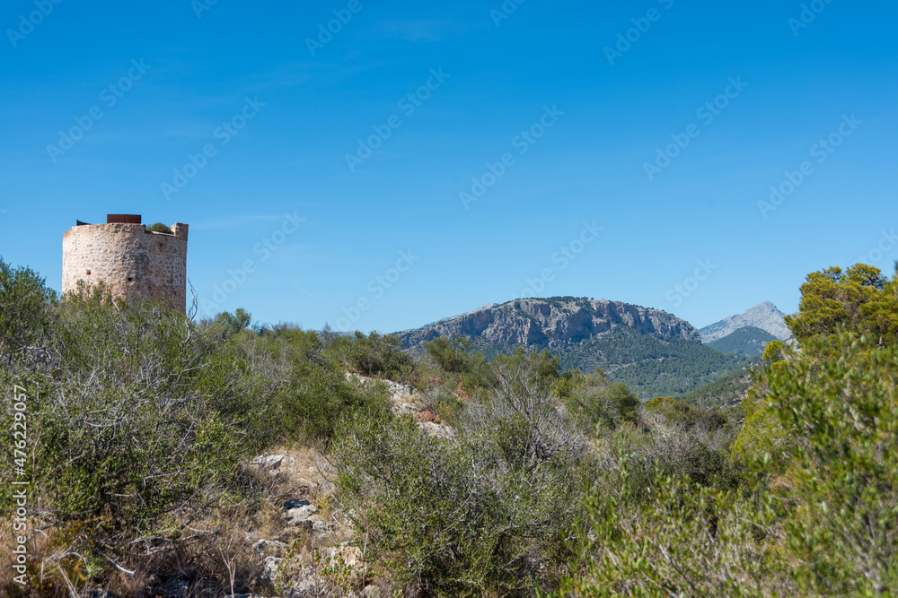 Camp de Mar Tower, in Mallorca. Surrounded by pine trees, in the background mountains and blue sky