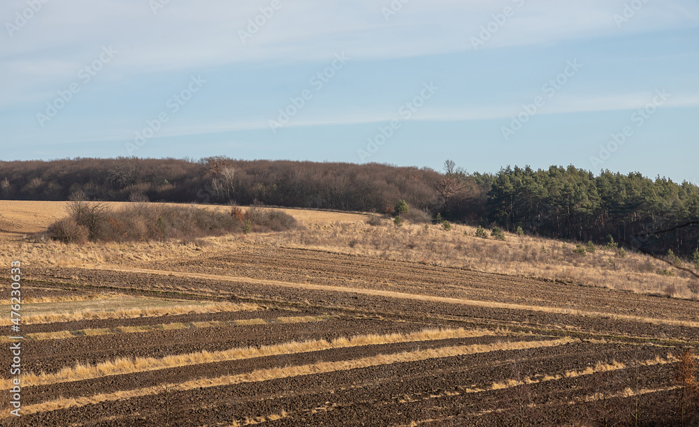plowed field, preperaton for seeding in agricultural field. plowed field, preperaton for seeding in agricultural field.