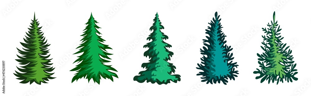 Obraz premium Set of christmas trees on the white background. Vector winter fir in cartoon style.