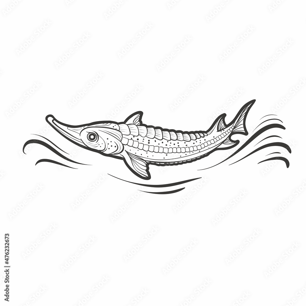 logo, stylized pike fish in black color, isolated object on white background, vector illustration, logo, stylized pike fish in black color, isolated object on white background, vector illustration,
