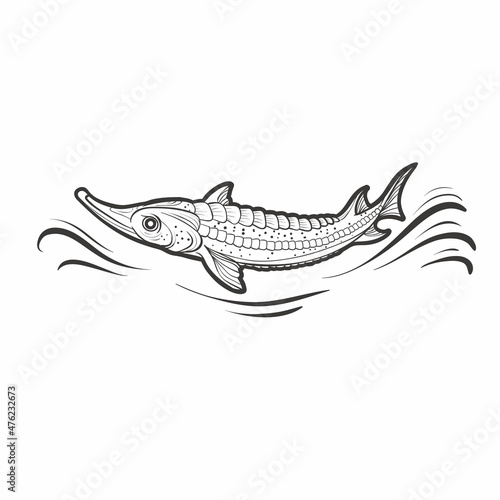 logo, stylized pike fish in black color, isolated object on white background, vector illustration,