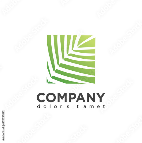 summer leaf coconut tropical logo natural garden design organic nature. palm leaf green logo agriculture emblem