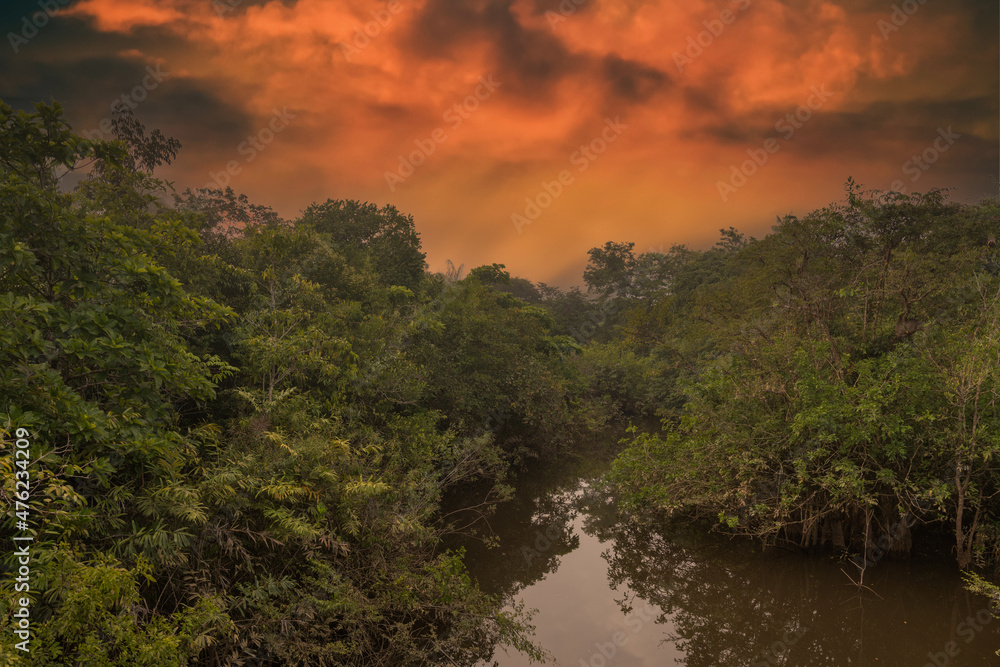 Reflection of a sunset by a lagoon inside the Amazon Rainforest Basin. The Amazon river basin comprises the countries of Brazil, Bolivia, Colombia, Ecuador, Guyana, Suriname, Peru and Venezuela