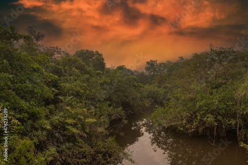 Reflection of a sunset by a lagoon inside the Amazon Rainforest Basin. The Amazon river basin comprises the countries of Brazil  Bolivia  Colombia  Ecuador  Guyana  Suriname  Peru and Venezuela