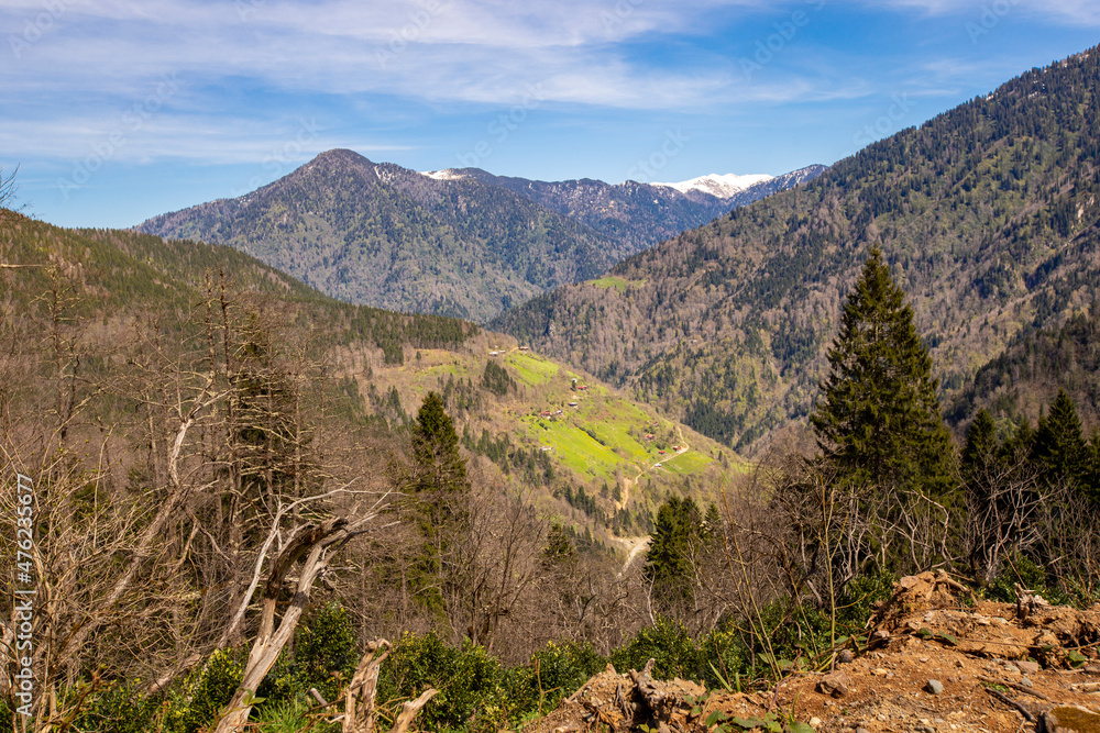 winter landscape  mountains. Winter forest covered with snow. New Year`s landscape. Dramatic wintry scene. 