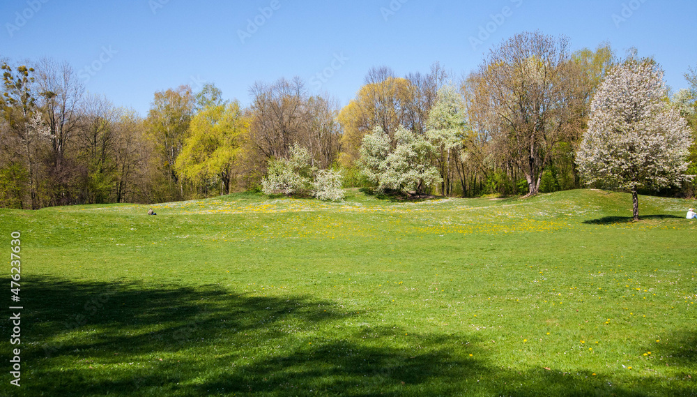 Panorama. Beautiful autumn trees. Autumn landscape Panorama. Beautiful autumn trees. Autumn landscape