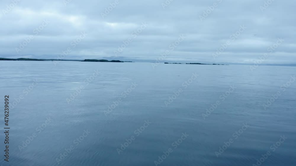 Bird Flying On Blue Calm Ocean Near Flatey Island, Iceland. Aerial Forward Bird Flying On Blue Calm Ocean Near Flatey Island, Iceland. Aerial Forward