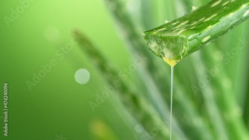 Super slow motion of dropping aloe vera liquid from leaf. Filmed on very high speed cinema camera at 1000 fps