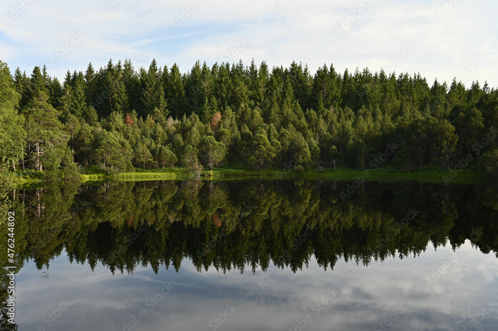 Trees of the Black Forest reflect in the clear, dark water of Lake Blindensee, Germany.