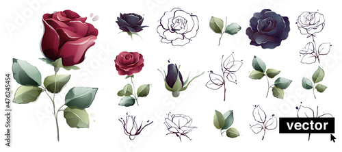 Watercolor style illustrations set of garden roses burgundy red and navy blue flowers, buds, leaves, and ink branches sketches.