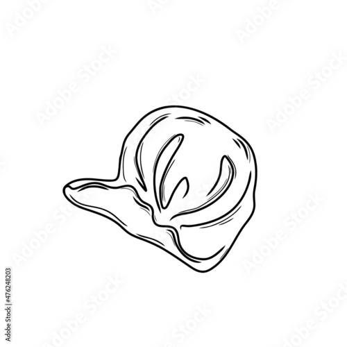 Jiaozi. Dumplings of Chinese, Japanese and Korean cuisine. Wontons, Gyoza, Baozi, Dim-sama, Gyoza or Kyoza. Doodle. Hand drawn. vector illustration