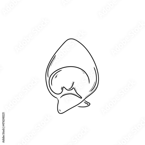 Wontons or Huntun.  Dumplings of Chinese, Japanese and Korean cuisine. Wontons, Gyoza, Baozi, Dim-sama, Gyoza or Kyoza. Doodle. Hand drawn. vector illustration