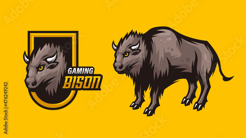 Bison Mascot Illustration Multiple Versions Pack