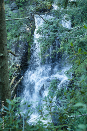 Beautiful waterfall shot through forest trees and shrubs