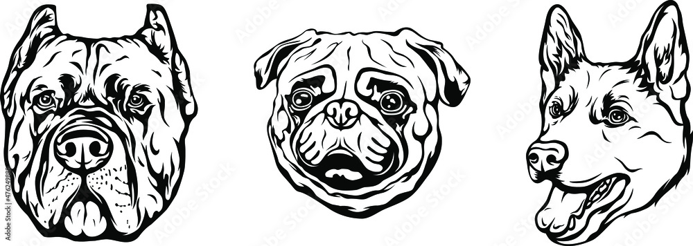 Hand drawn face of dogs. Black and white vector illustration mascot art ...