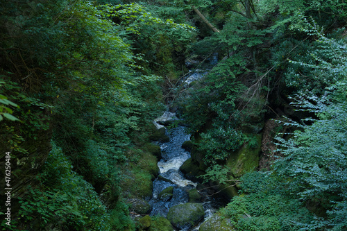 Windy creek flowing through the forest with trees and shrubs and rocks on either side shot horizontal