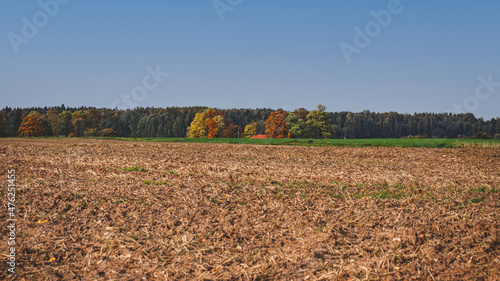 a plowed field, an autumn forest in the distance, on a sunny autumn day