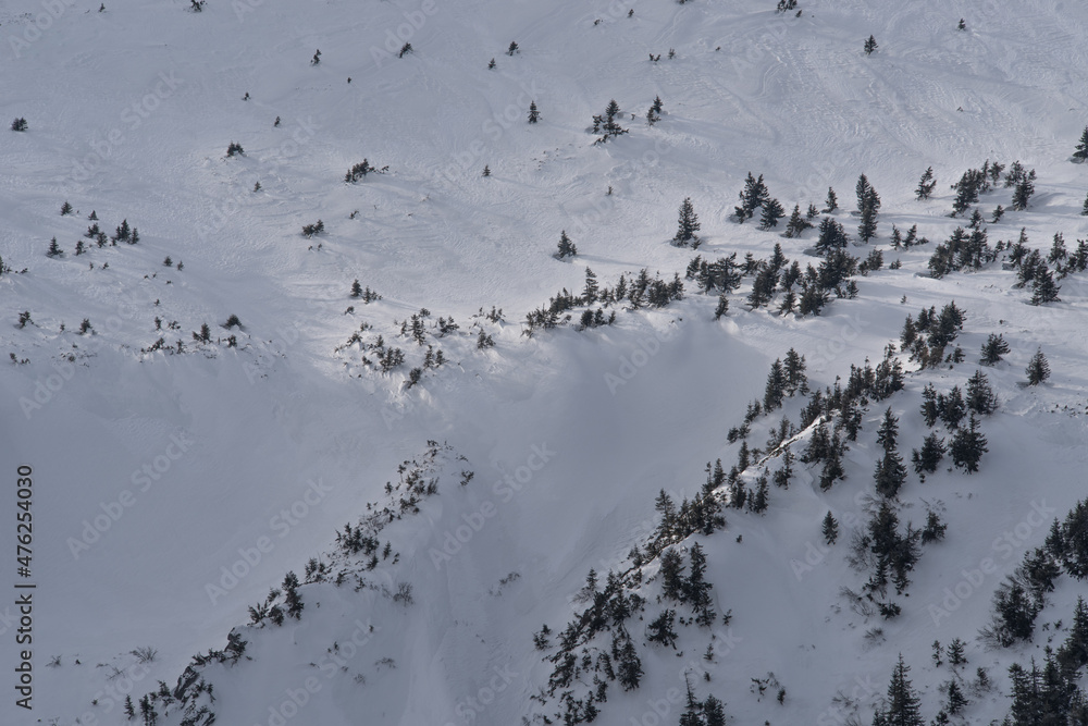 View from the height of the snow-covered trees. View from the height of the snow-covered trees.