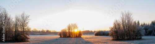 A hoarfrost covered meadow at sunset in the Siebenbrunn nature reserve near Augsburg, Germany