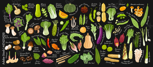 Big vegetables set on dark background with inscriptions. Exotic asian food. Korean, japanese, chinese ingredients. Vector hand drawn flat illustrations for restaurant menu, recipes, brochures.