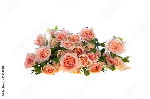 Fototapeta Naklejka Na Ścianę i Meble -  Pink roses. Bouquet of flowers.
