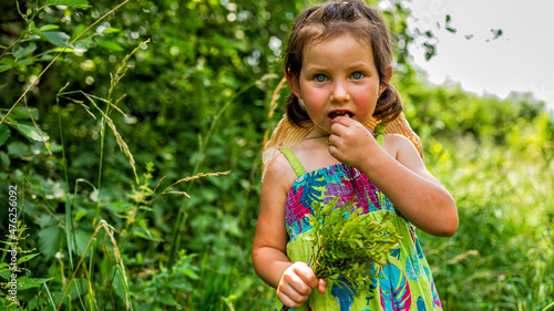A young girl is collecting and eating blackberries in the mountain meadow.