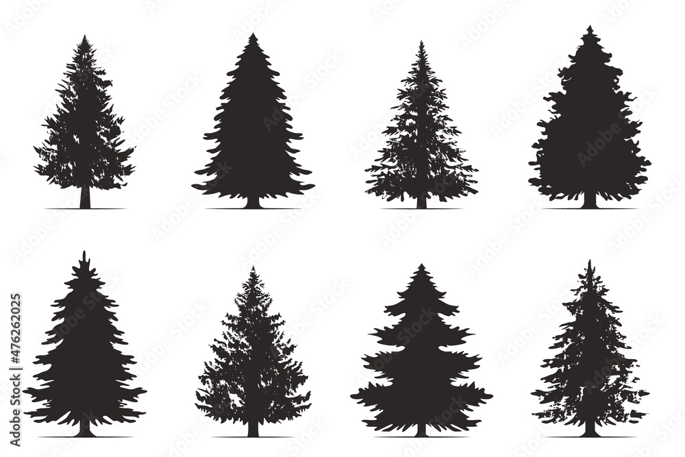 Vintage trees and forest silhouettes set in monochrome style. Set. Silhouette of pine trees.