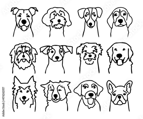 Set of different dog faces. Canine breeds in doodle style. Ink hand drawn heads of funny puppies. Pets contour simple kids style
