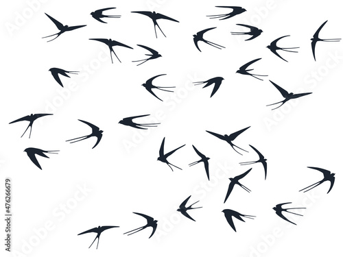 Flying swallow birds silhouettes vector illustration. Migratory martlets swarm isolated on white.