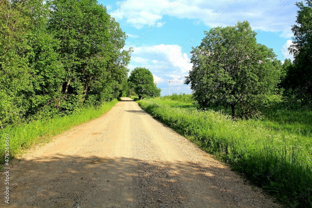 dirt road surrounded by green plants on a sunny summer day. Unique image for decoration dirt road surrounded by green plants on a sunny summer day. Unique image for decoration