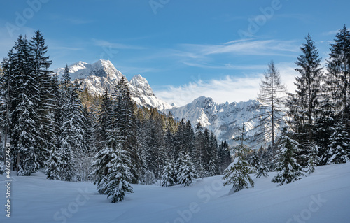 Idyllic snow-covered landscape with mountain range in the background, Unken, Pinzgau, Salzburger Land, Austria © auergraphics