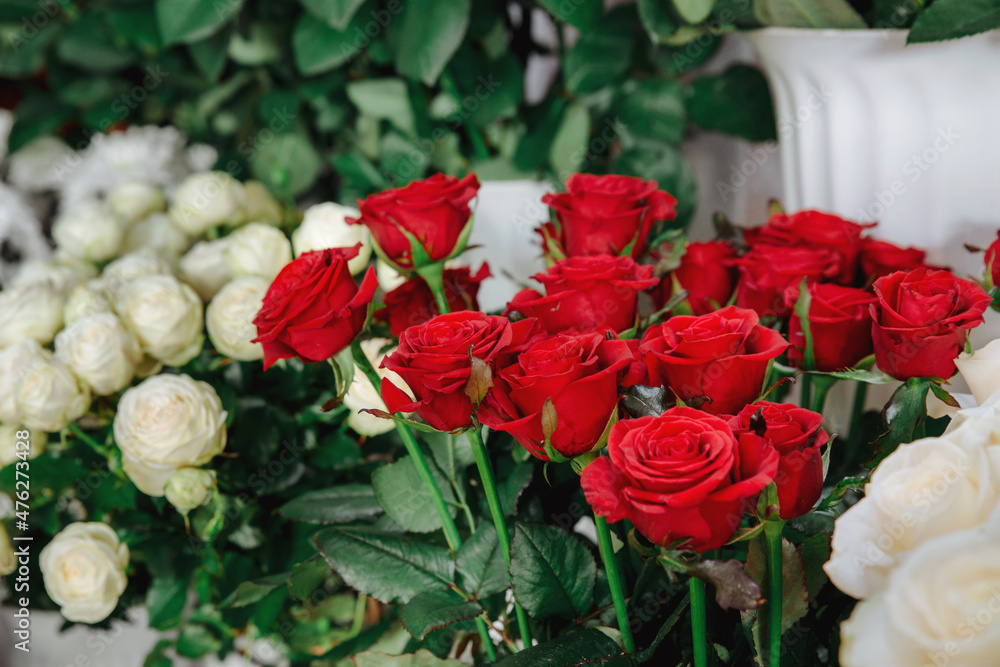 Red roses in a flower shop. Flower market. Roses of other colors on foreground and background. No people Red roses in a flower shop. Flower market. Roses of other colors on foreground and background. No people