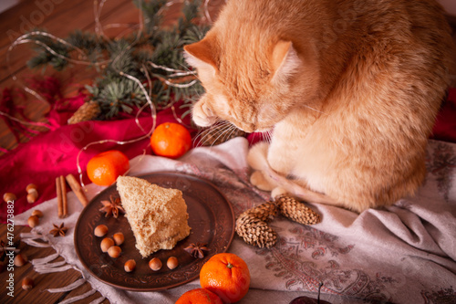 Ginger cat on the table near a delicious honey cake. It's time for winter holidays, new year and christmas. 