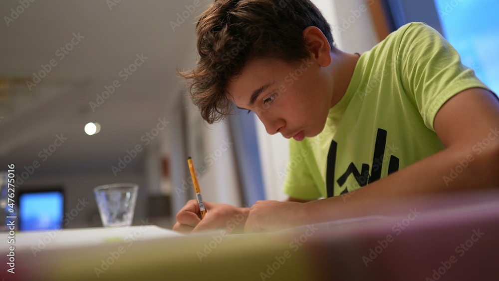 Adolescent kid doing homework studying at home, young boy studies Adolescent kid doing homework studying at home, young boy studies