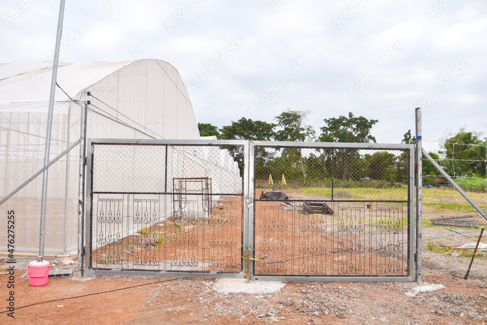 Obraz premium Greenhouse for growing cannabis in a closed system.