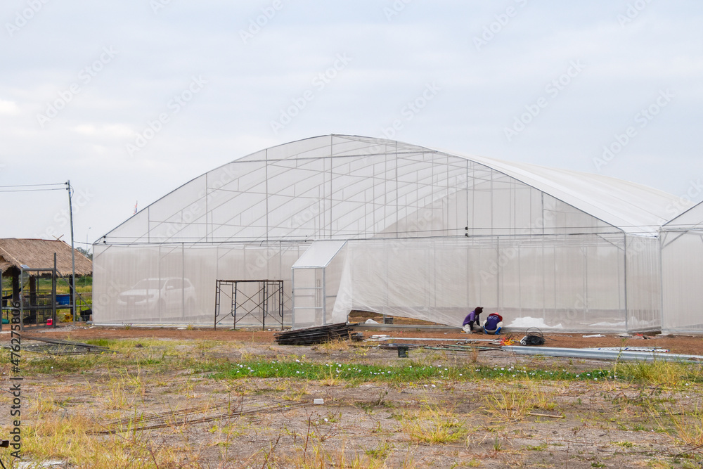 Greenhouse for growing cannabis in a closed system. Greenhouse for growing cannabis in a closed system.