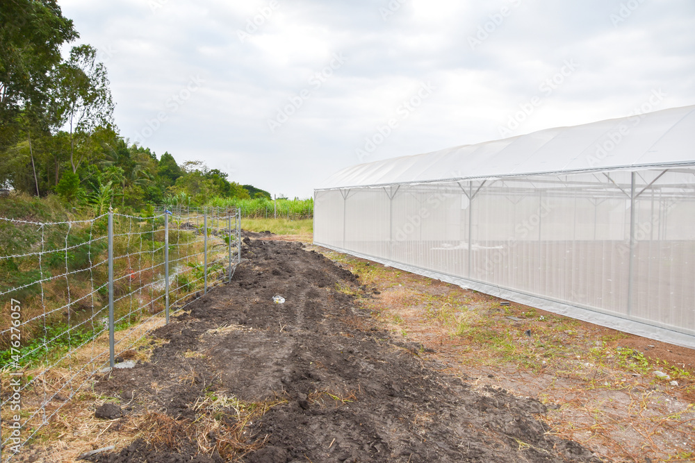 Greenhouse for growing cannabis in a closed system. Greenhouse for growing cannabis in a closed system.