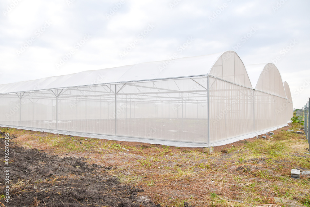 Greenhouse for growing cannabis in a closed system.