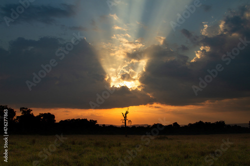 Sunset Maasai Mara National Reserve