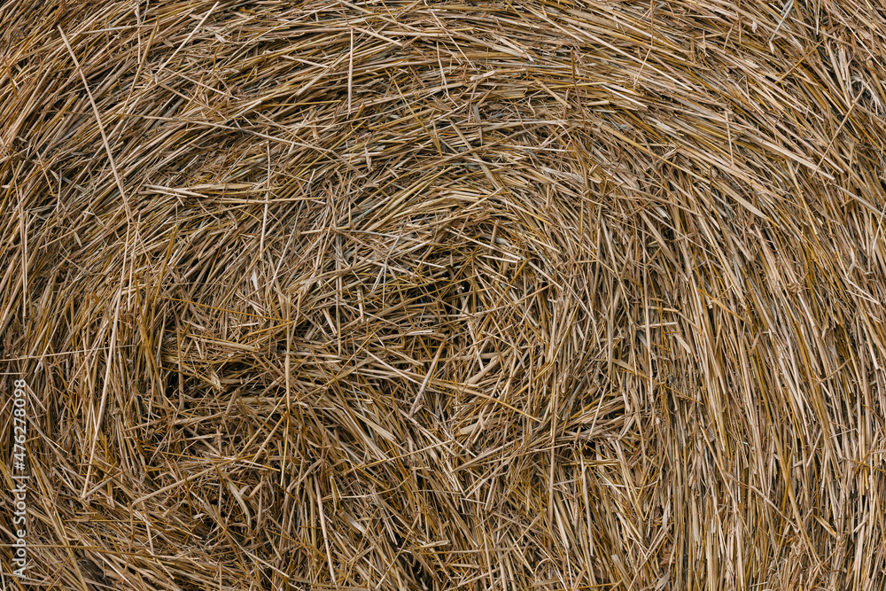 Haystacks gathered in a circle on a large field. A clear summer day, with a house in the background. Haystacks gathered in a circle on a large field. A clear summer day, with a house in the background.