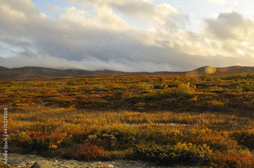 Dovre-Nationalpark in Norwegen im Herbst