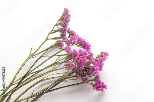 A branch of pink small flowers on a white background. Image of dried flowers. Romantic flowers. Perezia limonium. Kermek. Statica