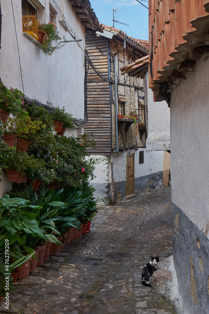 Fototapeta premium Street in the pretty town of Hervas in Caceres, Spain. 