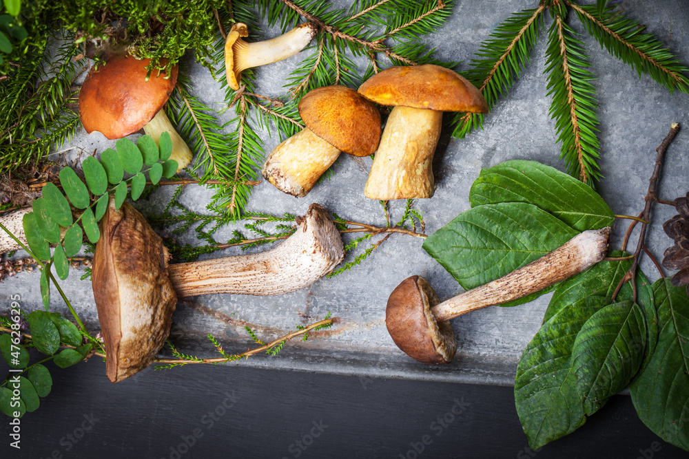 Assorted edible mushrooms on an old dark background. Vegetarian healthy product. Healthy lifestyle.